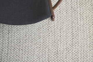 Rialto Handwoven Polyester and Cotton Gray Area Rug