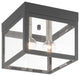 Livex Lighting Scandinavian Gray 2-Light Outdoor Ceiling Mount