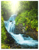 Wonderful Creek in Green Forest, Landscape Triptych Canvas Art, 28x36, 3 Panels