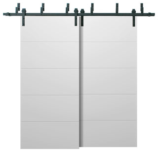 Barn Bypass Doors 56 x 80, Planum 0770 Painted White, 6.6' Rail