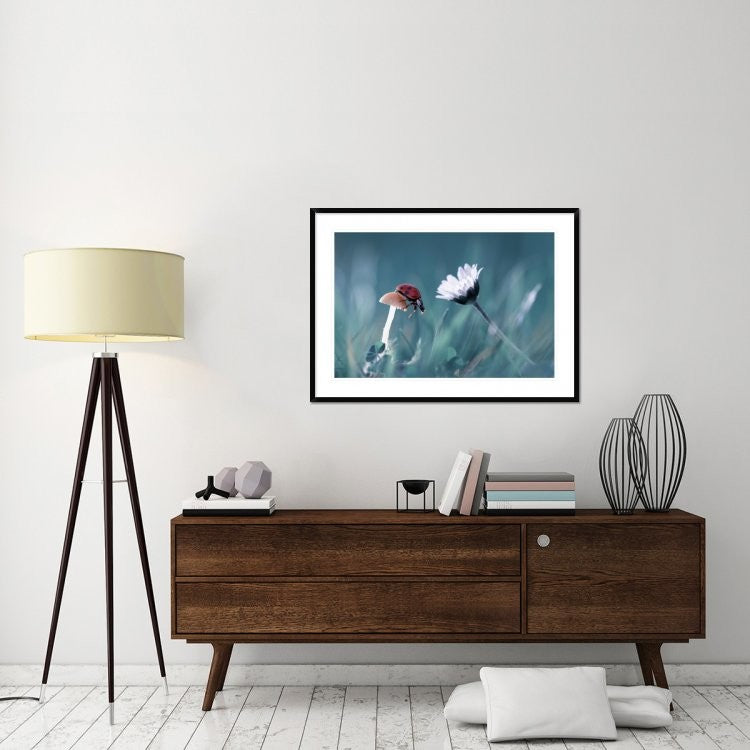The Story Of The Lady Bug, 42"x30"