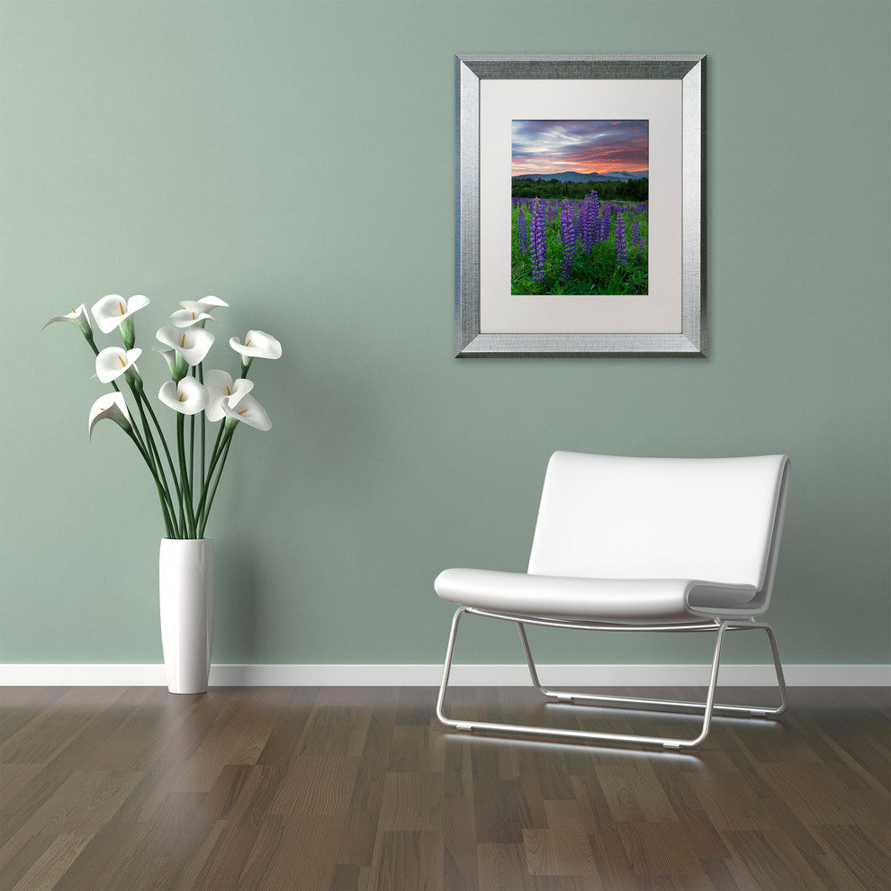 Michael Blanchette Photography 'Fire in the Sky' Matted Framed Art, 20x16