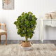 4' Schefflera Faux Tree, Boho Chic Handmade Cotton & Jute White Woven Planter
