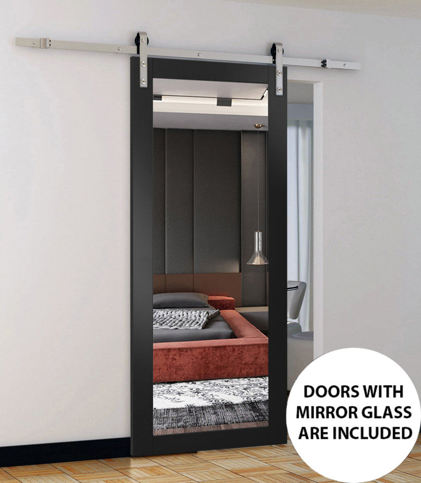 Barn Door 28 x 80, Lucia 1299 Matte Black & Mirror, Silver 6.6' Rail