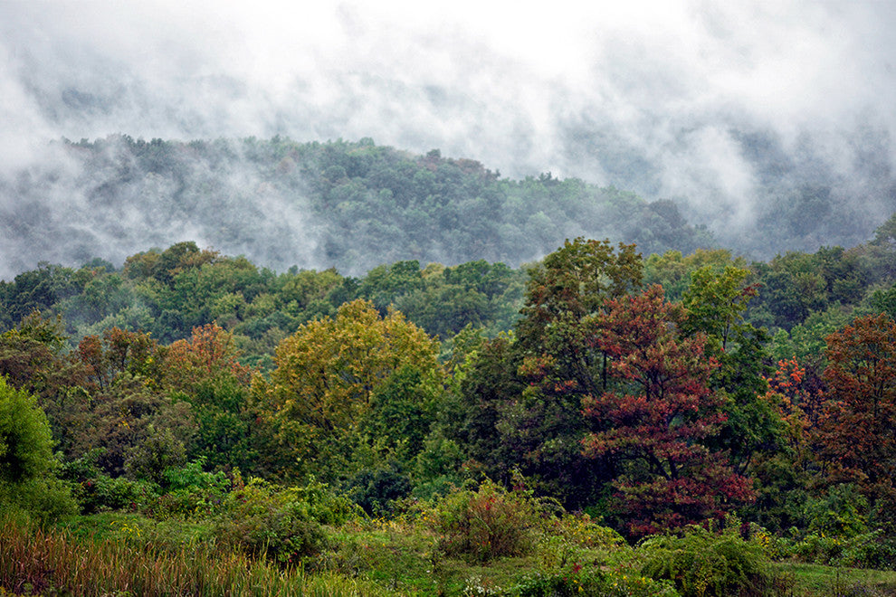 "As the Fog Rolls Over" Canvas, 40"x60"