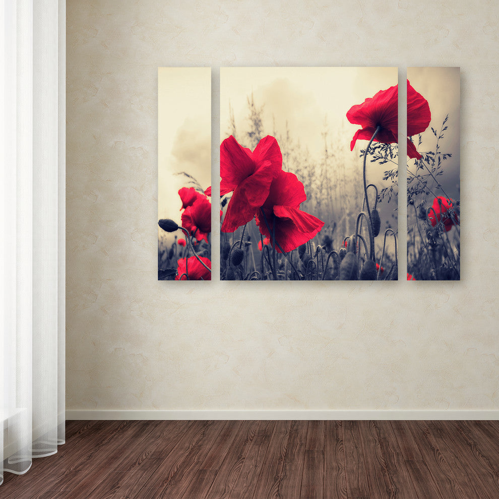 Philippe Sainte-Laudy 'Red For Love' Multi Panel Art Set, 32"x24"