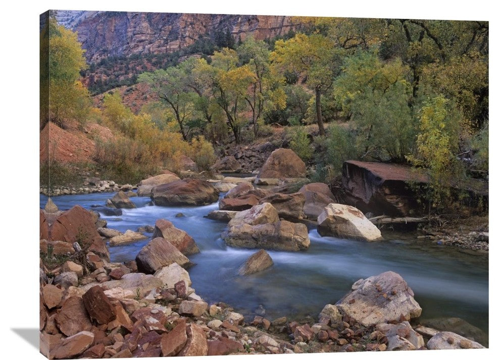 "Virgin River Flowing Through Canyon, Zion National Park, Utah" Artwork