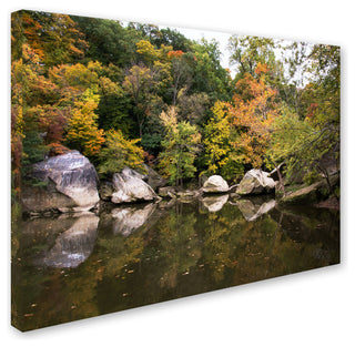 'Graffiti Fall' Canvas Art by Kurt Shaffer