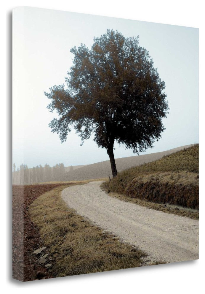 "Tuscany - 12" By Alan Blaustein, Giclee Print on Gallery Wrap Canvas