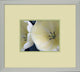 Fresh Cut 3, Giclee Reproduction Artwork