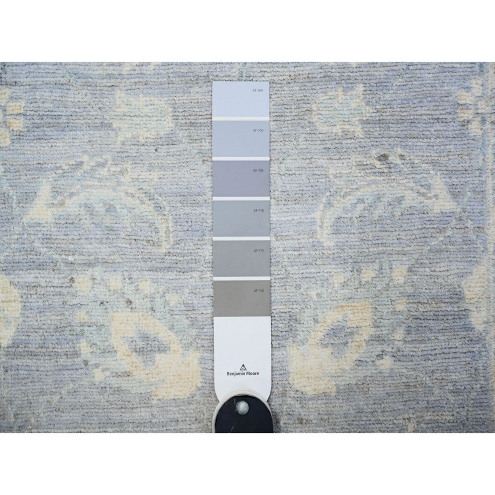 Glaucous Gray Wool Hand Knotted Finer Peshawar XL Runner Oriental Rug 2'6"x14'8"