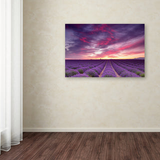 Blanchette Photography 'Pink And Purple' Canvas, 32"x22"
