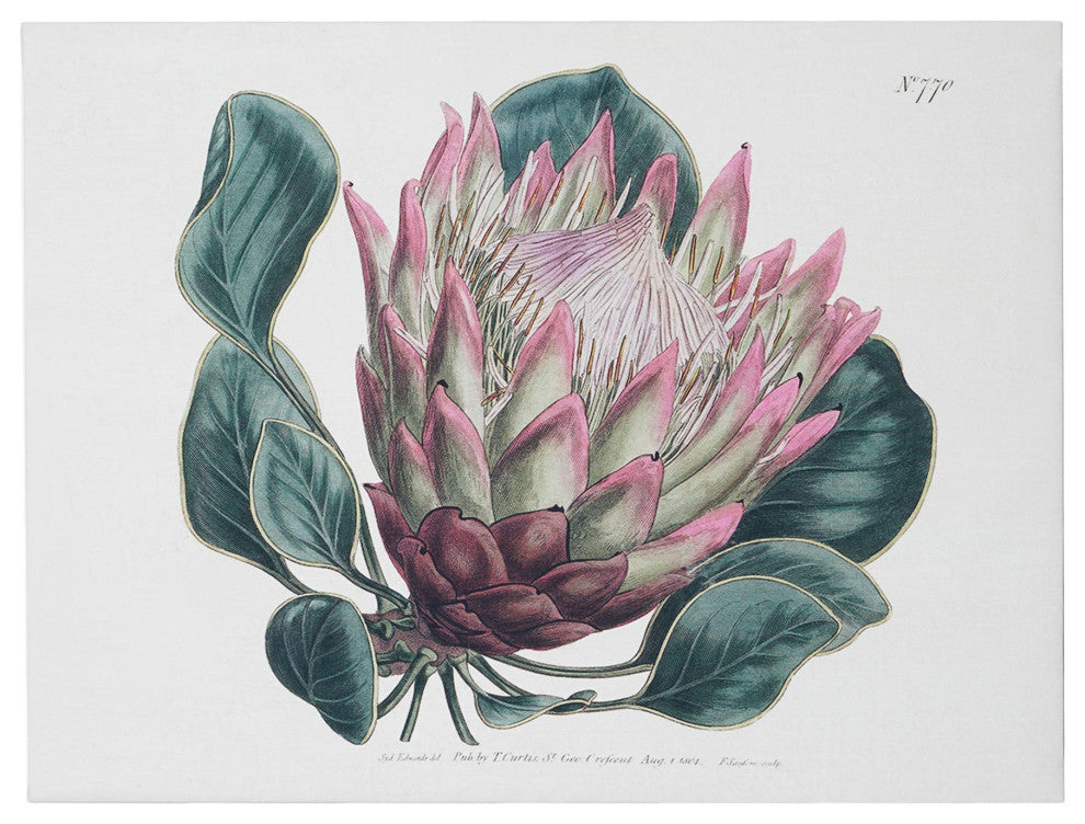 American Art Decor Dragon Leaf Flower Floral Canvas Wall Art Print - 12"x16"