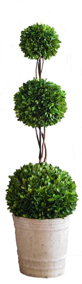 Boxwood Topiary 40" Triple Ball