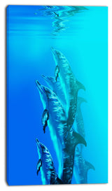 "Dolphin in Blue Sea" Canvas Print, 16"x32"