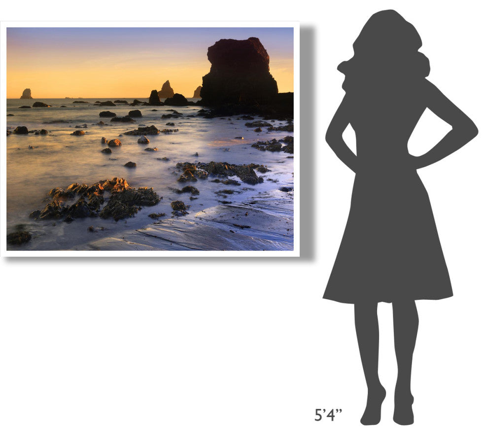 "Lone Beach at sunset, Oregon" Digital Paper Print by Tim Fitzharris, 50"x38"