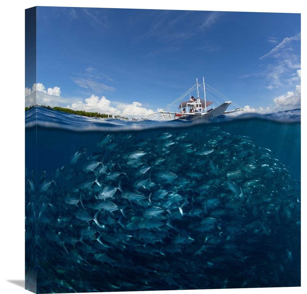 "Go Diving?" Stretched Canvas Giclee by Andrey Narchuk, 21x22"