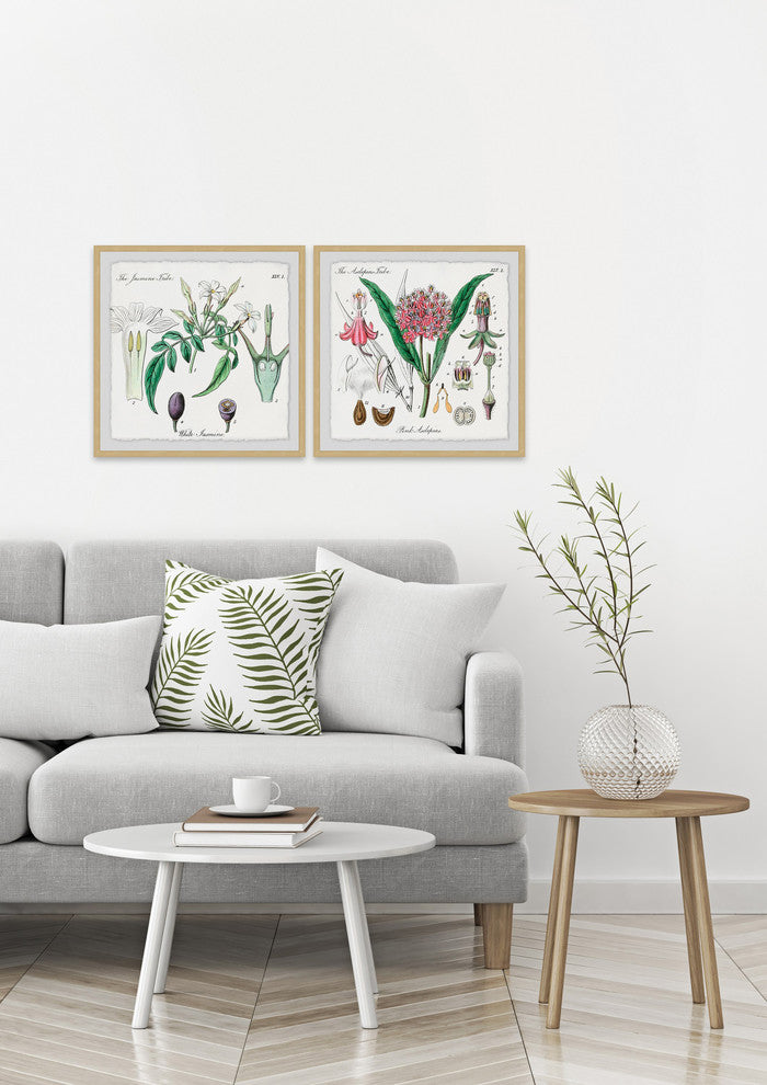"Crinum in My Garden Diptych" Framed Prints, 12"x12", 2-Piece Set