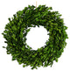 Preserved Genuine Boxwood Wreath