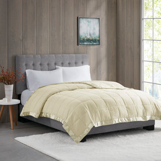 Madison Park Microfiber Blanket, Cream, Twin