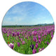 Purple Poppy Field Panorama, Modern Floral Round Metal Wall Art, 11"