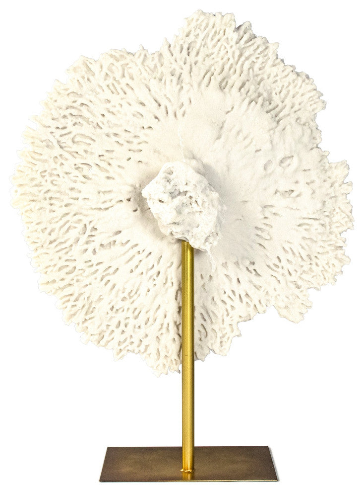 White Coral on Gold Base