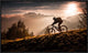 "Golden Hour Biking" Framed Canvas Giclee by Sandi Bertoncelj, 31x18"