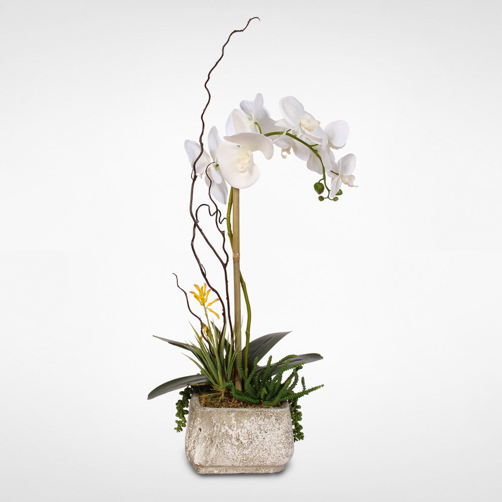 Real Touch Phalaenopsis Silk Orchid With Succulents in a Cement Pot