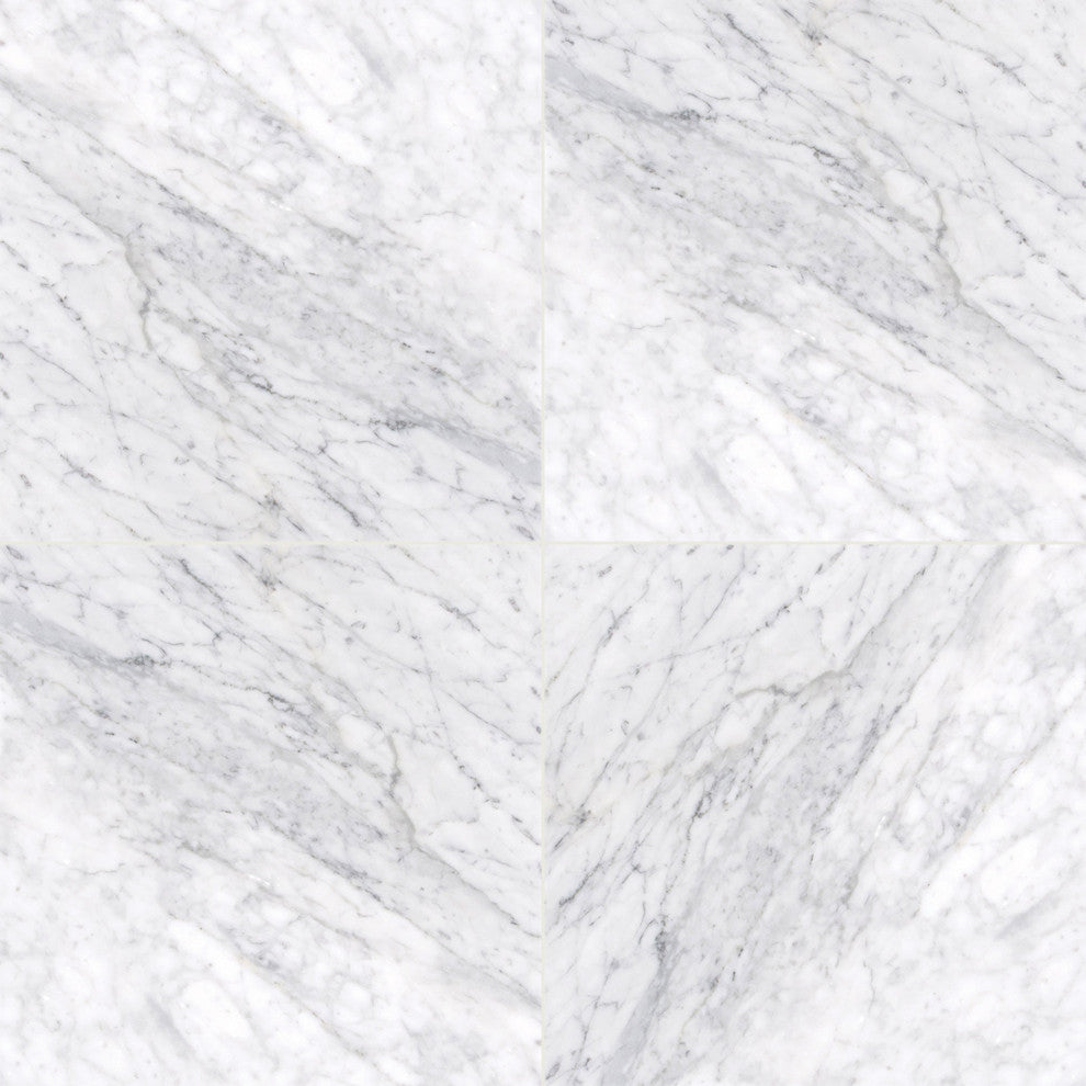 MSI T1212-V3 12" x 12" Square Floor and Wall Tile - Polished - Carrara White