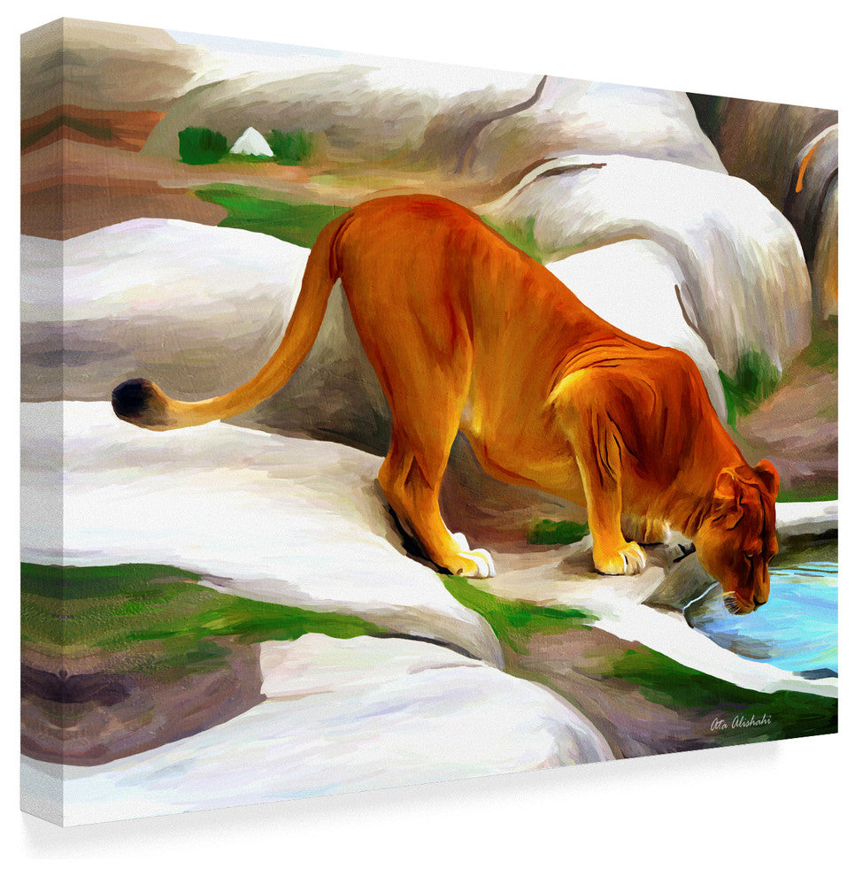 "Lioness" by Ata Alishahi, Canvas Art, 47"x35"