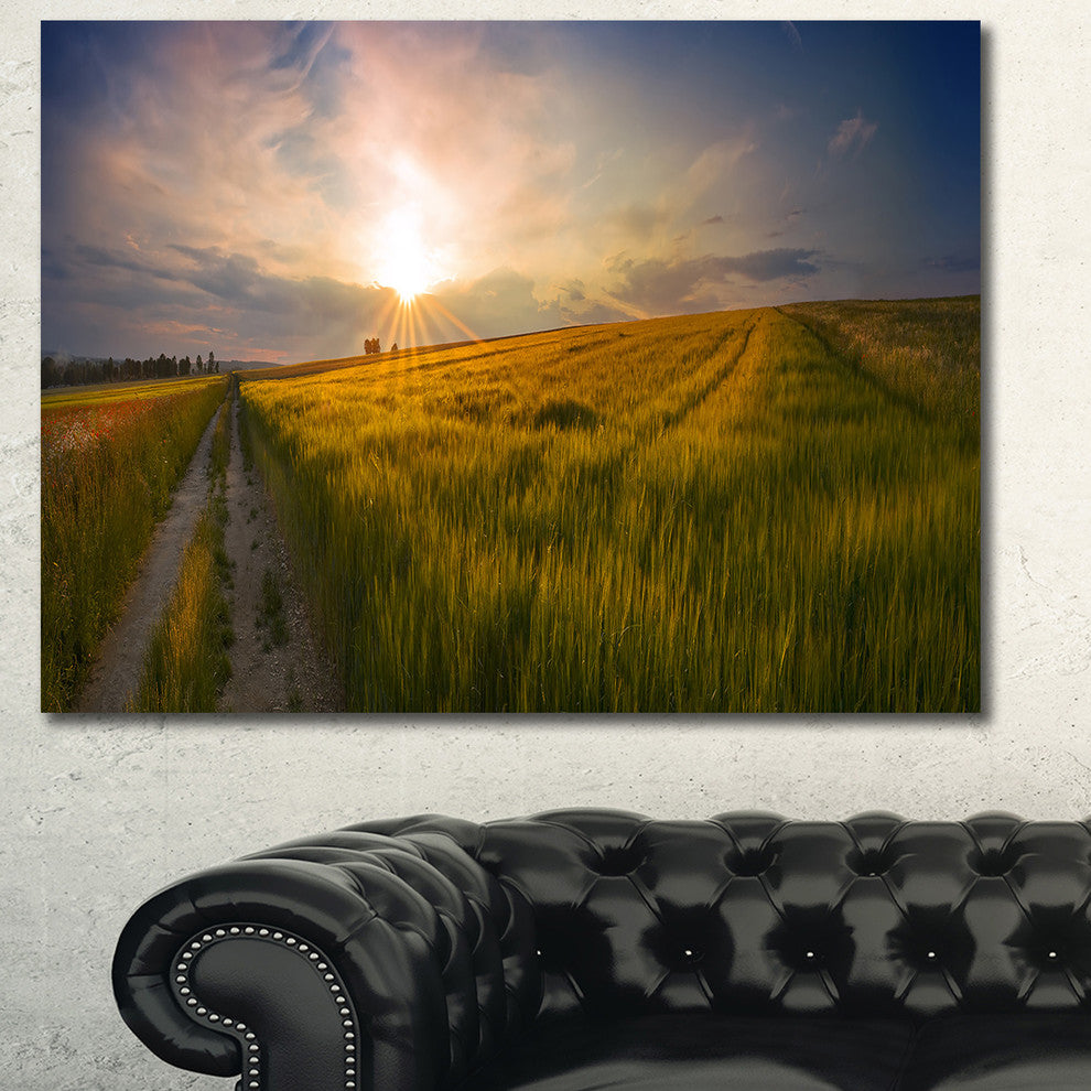 Sunset in Field of Grain Panorama, Landscape Canvas Art Print, 40"x30"