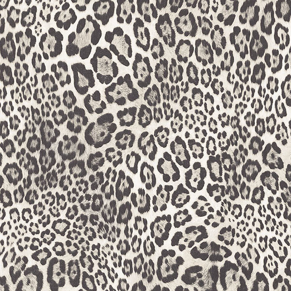 Leopard Print Wallpaper, Black and White, Bolt