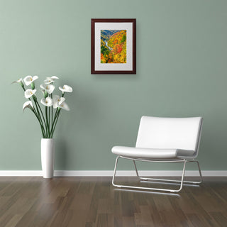 'Valley' Matted Framed Canvas Art by CATeyes