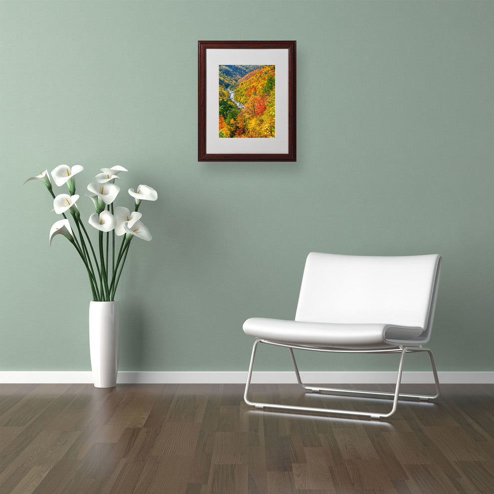 'Valley' Matted Framed Canvas Art by CATeyes