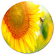 Beautiful Sunflowers Blooming, Animal Round Wall Art, 23"