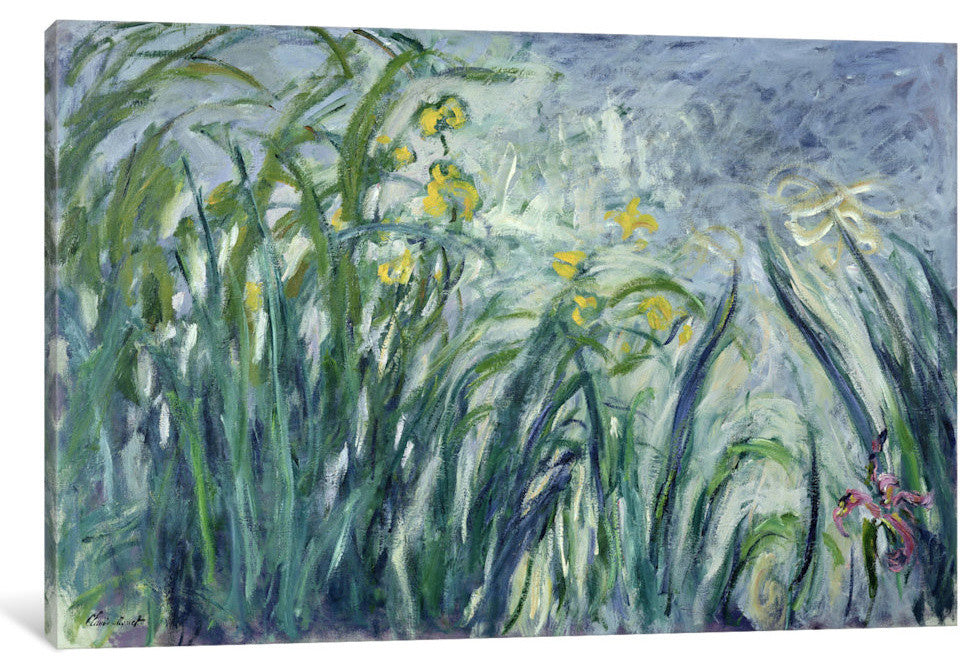 "Yellow and Purple Irises, 1924-25 " by Claude Monet, Canvas Print, 40"x26"