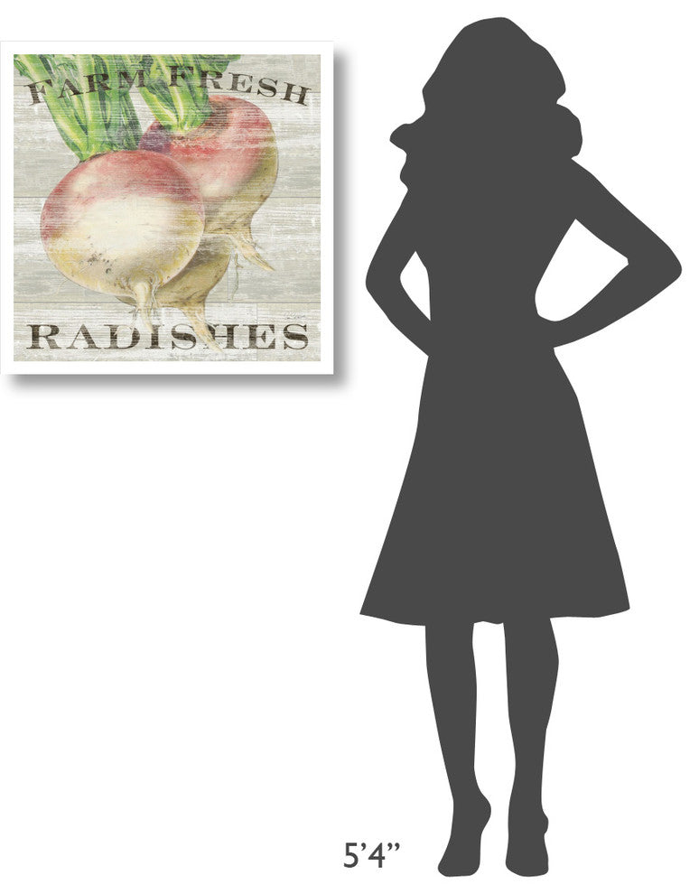 "Farm Fresh Radishes" Digital Paper Print by Sue Schlabach, 26"x26"