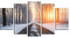 Bright Sun Break in Winter Forest, Large Forest Canvas Print, 60"x32", 5 Panels