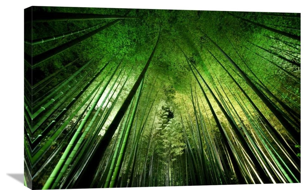 "Bamboo Night" Stretched Canvas Giclee by Takeshi Marumoto, 30"x20"