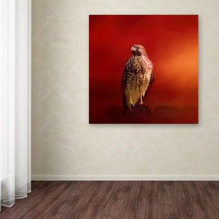 Jai Johnson 'Hawk On A Hot Day' Canvas Art, 35 x 35