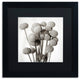 Alan Blaustein ''Florison 33'' Art, Black Frame, Black Mat, 16x16