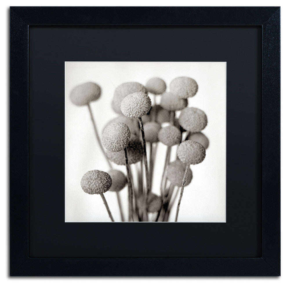 Alan Blaustein ''Florison 33'' Art, Black Frame, Black Mat, 16x16