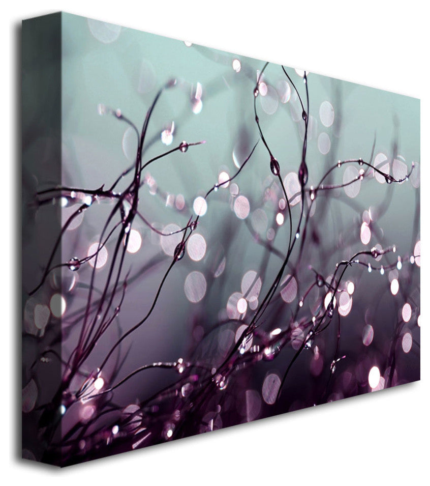'Somewhere Over the Rainbow' Canvas Art by Beata Czyzowska Young