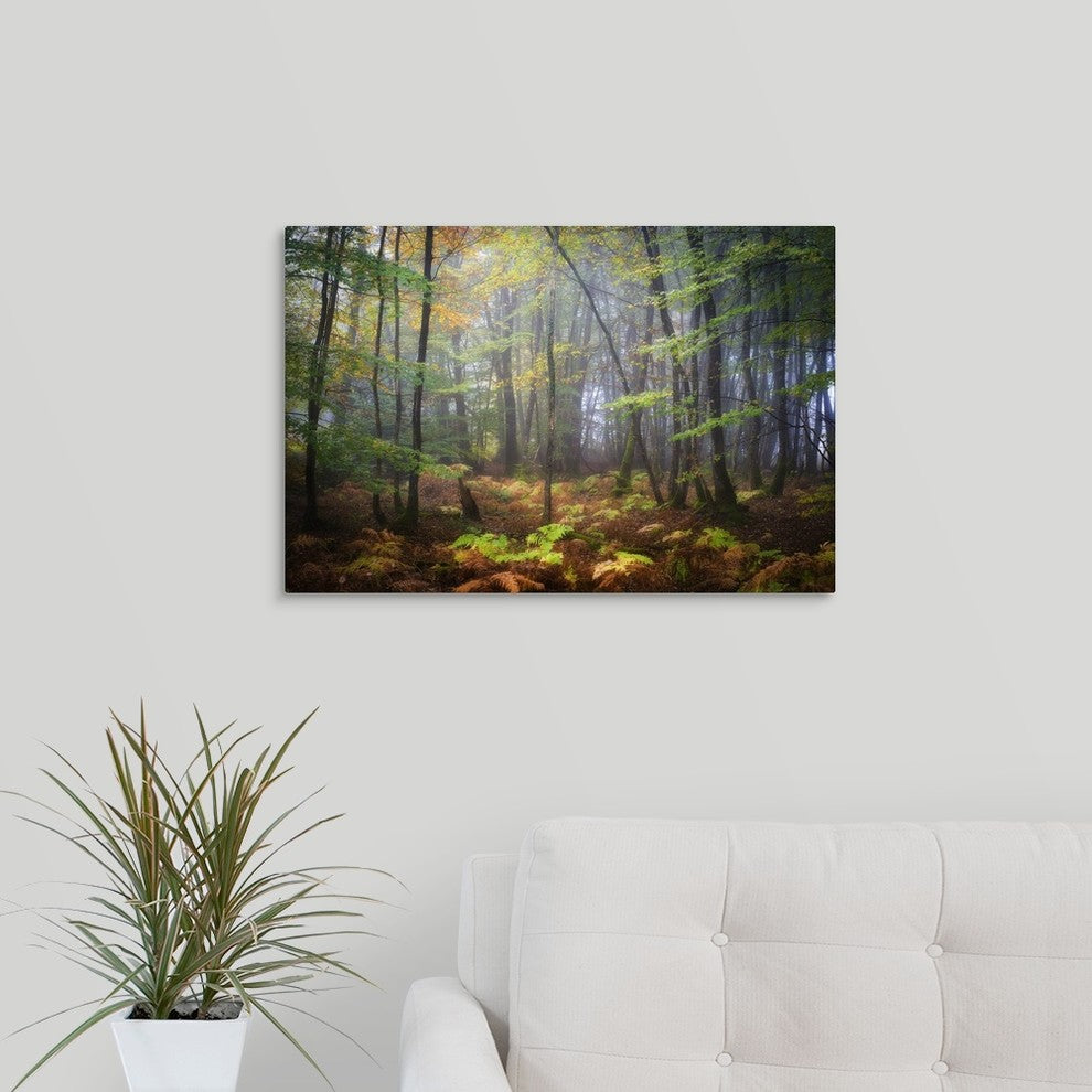 "Colored Rain in Deep Forest" Wrapped Canvas Art Print, 24"x16"x1.5"