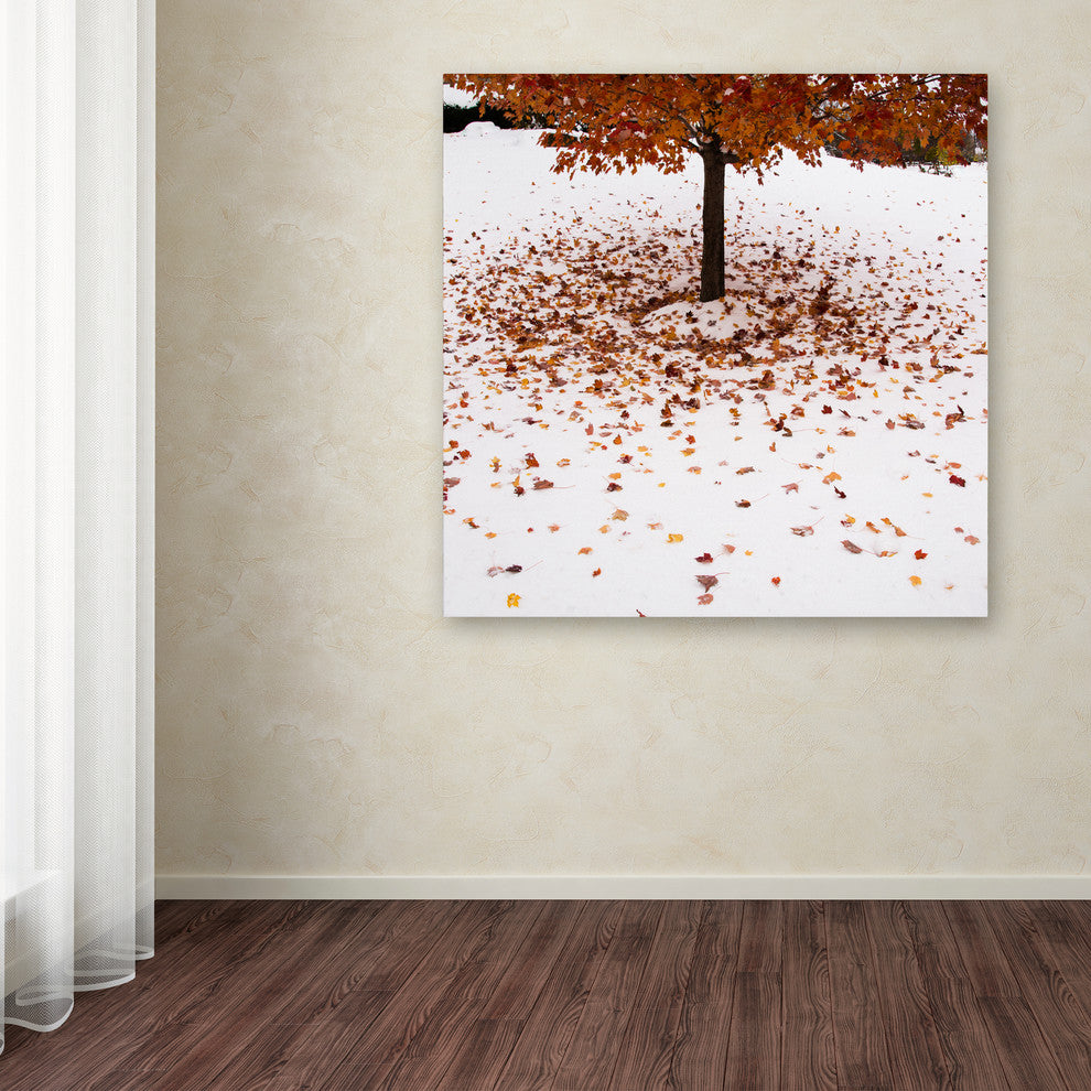 ''Maple Leaves in the Snow'' Canvas Art by Kurt Shaffer
