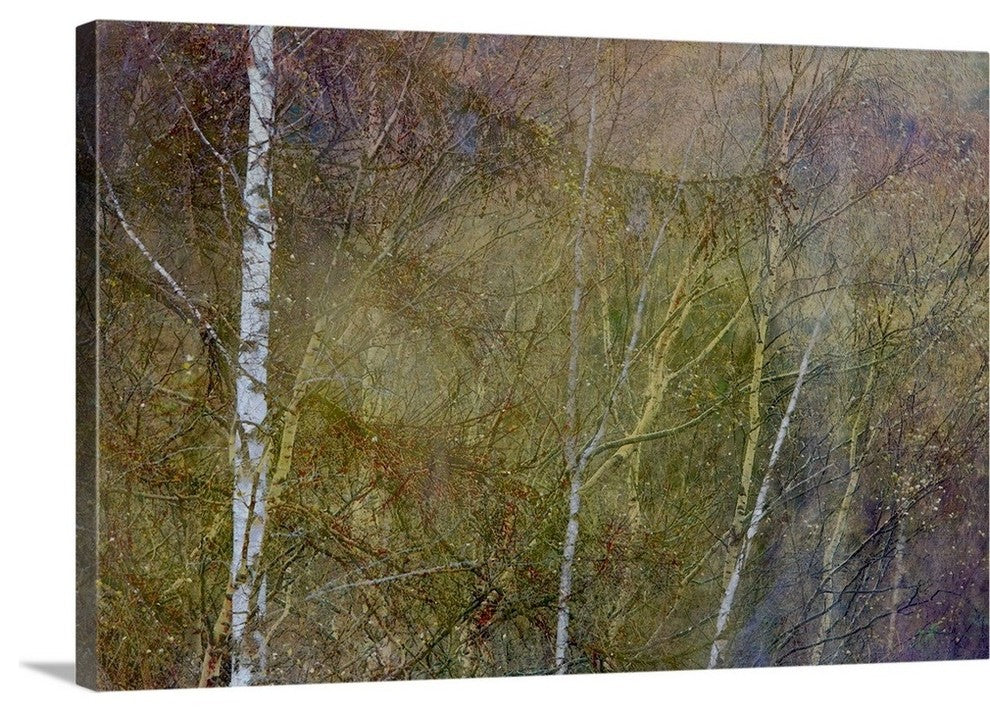 "Golden Mist" Wrapped Canvas Art Print, 36"x24"x1.5"