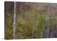 "Golden Mist" Wrapped Canvas Art Print, 36"x24"x1.5"