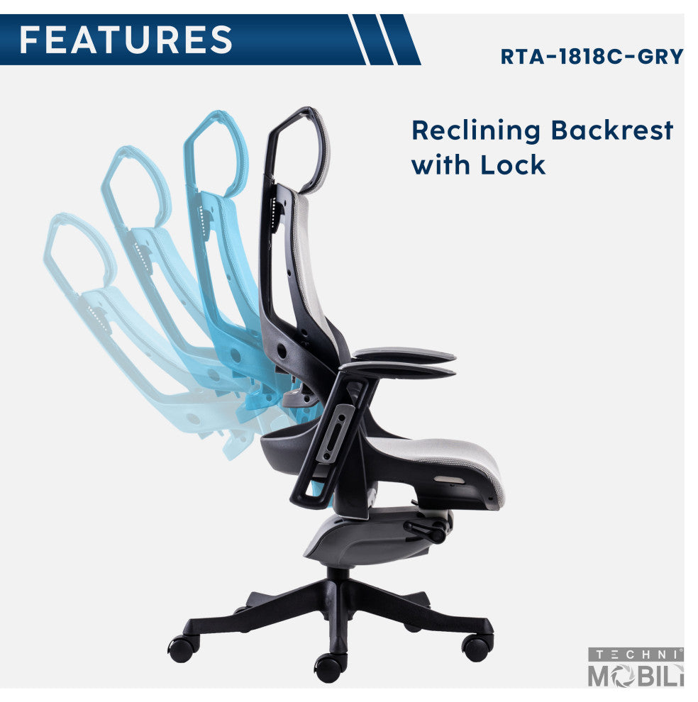 Lux Ergonomic Executive Chair, Gray