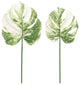 Philo Leaf, 12-Piece Set