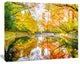 Bright Fall Forest with River, Large landscape Canvas Art Print, 60x40